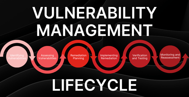 Blog-Vulnerability Management- Lifecycle Graphics